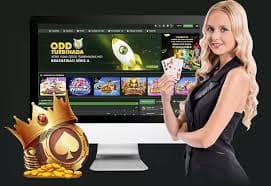 79king58 Live Casino